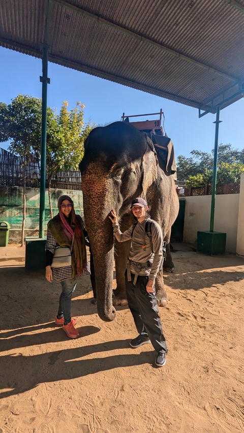       Two people posing with an elephant.
  