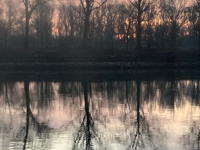 Riverbank with trees reflecting in water.