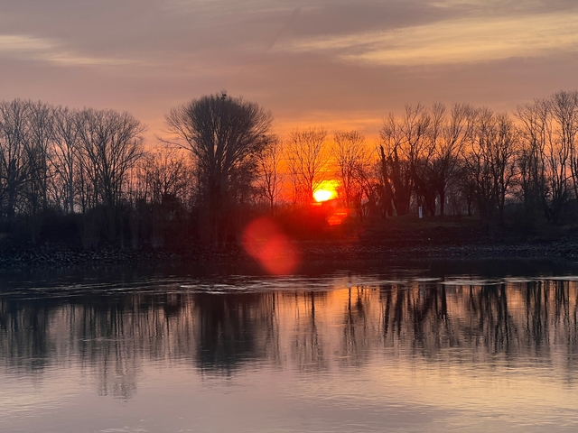 Sunset over a river with silhouetted trees.