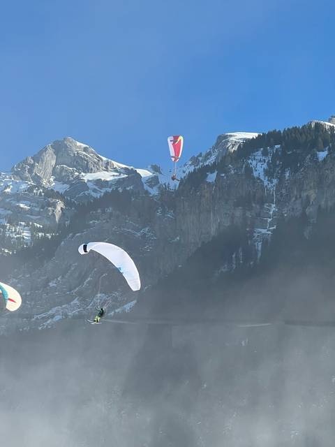 Paragliders in the sky against a snowy mountain backdrop.