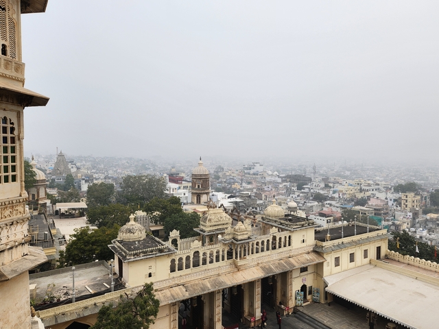 Overlooking a cityscape with historical architecture.