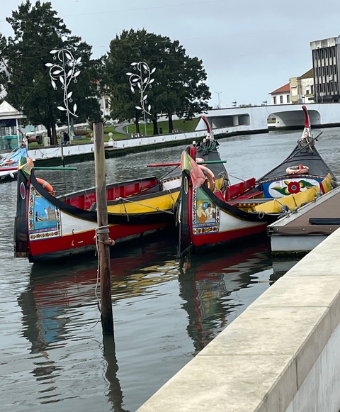       Colorful boats on the water.
  