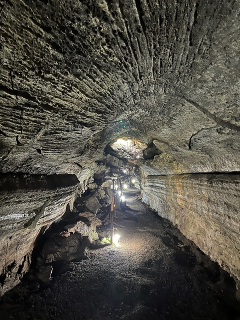       A cave with rocky walls and light seeping through the entrance.
  