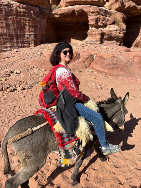       Person riding a donkey in a desert setting.
  