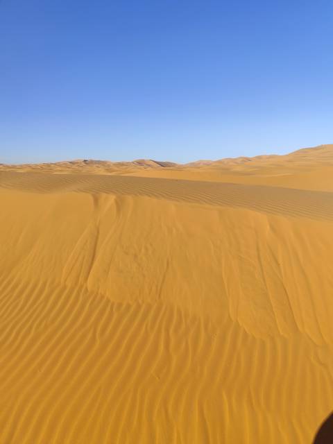       Endless sand dunes under a clear sky.
  
