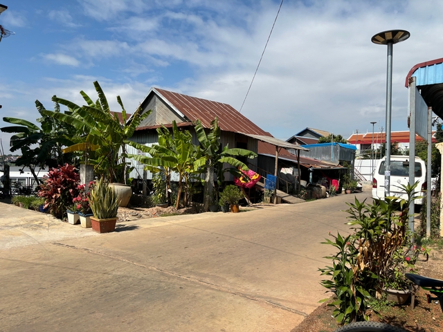 Local houses along a dirt road with plants.