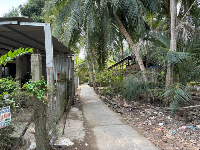 Narrow pathway in tropical greenery with palm trees.