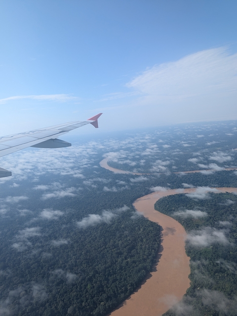       Aerial view of a winding river through lush forest.
  