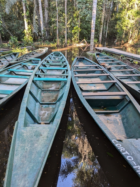       Rows of small wooden boats on a muddy shore.
  