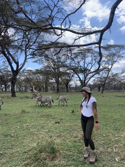       Zebras grazing near a woman in a safari setting.
  