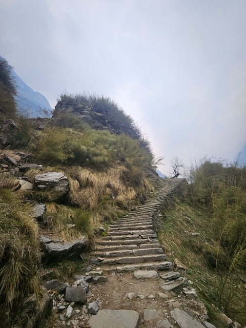 Mountain trail with stone steps and green vegetation.