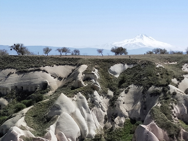       Distant snowy mountain with rocky terrain and scattered trees.
  