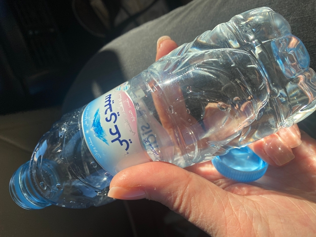      Close-up of a hand holding a water bottle.
  