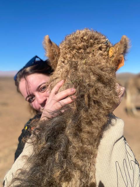       Woman hugging a camel affectionately.
  