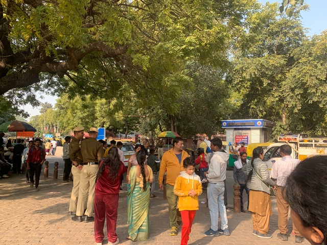 Crowd of people under trees near a pathway.
