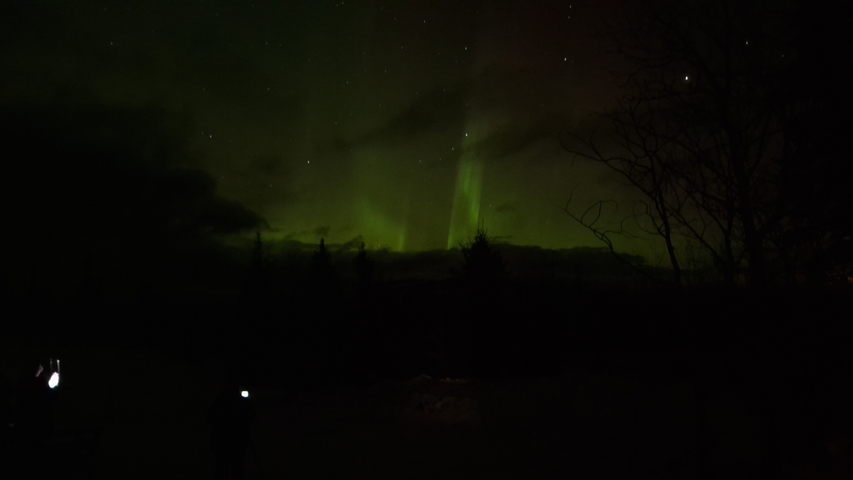 Northern lights seen in a dark sky surrounded by trees.