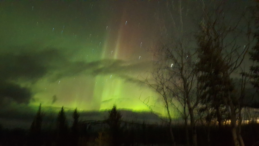 Blurry image of the northern lights with trees below.