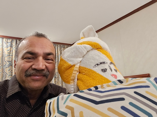 Person smiling next to a towel sculpture in a hotel room.