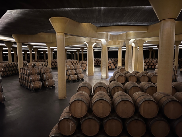 An underground wine cellar filled with wooden barrels.