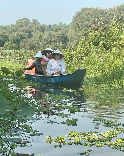 People in a small boat wearing conical hats, surrounded by lush greenery and water.