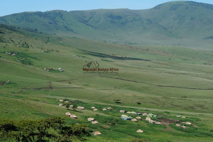       Aerial view of a village in a vast green landscape.
  