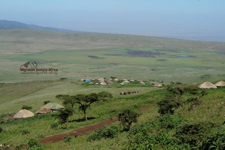       Aerial view of a village with thatched roofs in a green landscape.
  