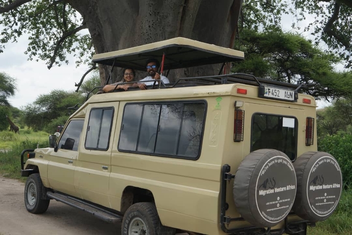       Couple in a safari vehicle under a baobab tree.
  