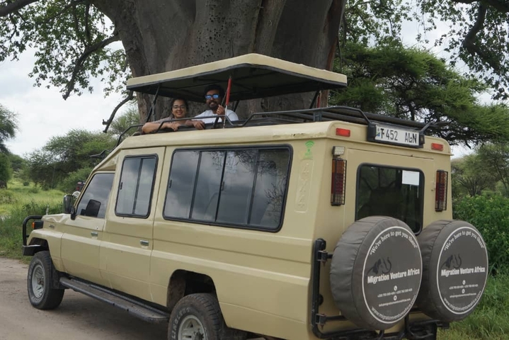      Couple in a safari vehicle under a baobab tree.
  