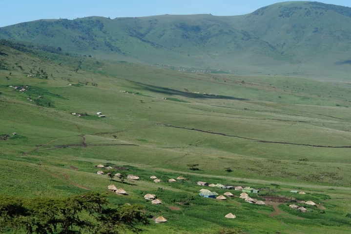       Landscape with traditional huts and greenfields.
  