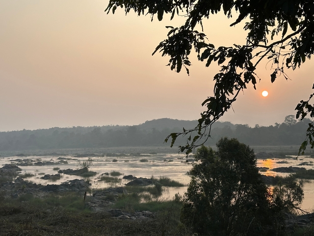 River landscape at sunset with foliage.
