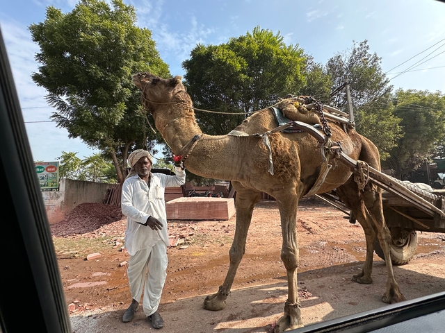       Man with a camel on a dirt road.
  