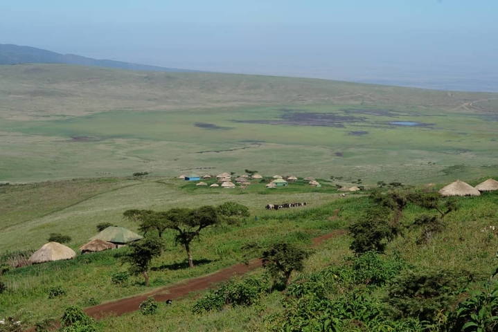       Wide green landscape with huts and trees.
  
