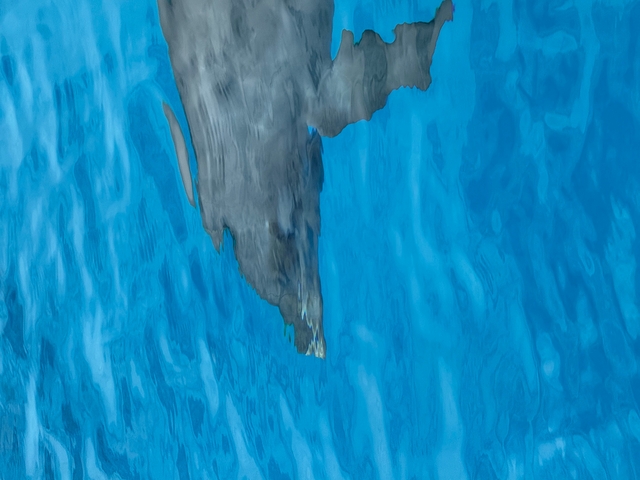       Blurred reflection of an object in blue water.
  