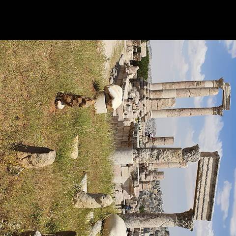      Ruins with stone columns and a city view in the background.
  