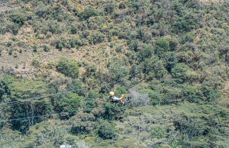       Person zip-lining through a forest canopy.
  