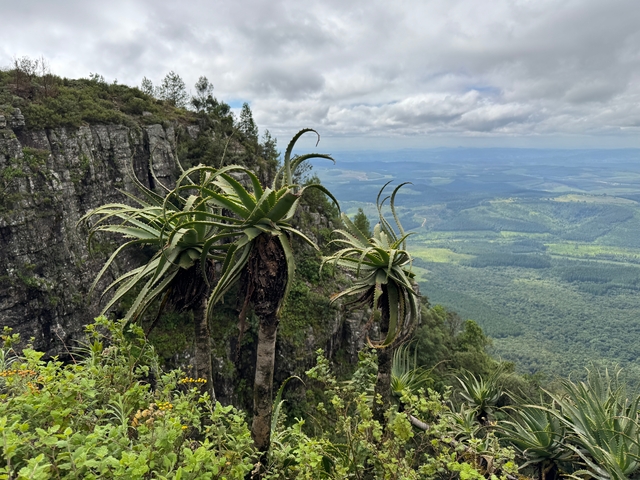       Beautiful landscape with cliffs and lush greenery.
  