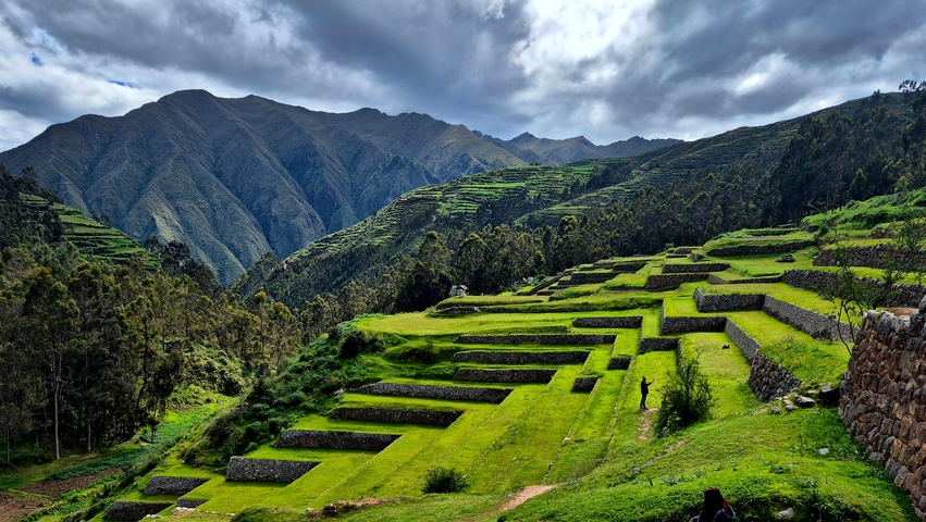 Terraced landscape with lush green fields and mountains.