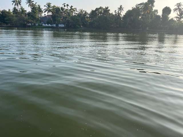       Rippling water body with reflections of trees and sky.
  