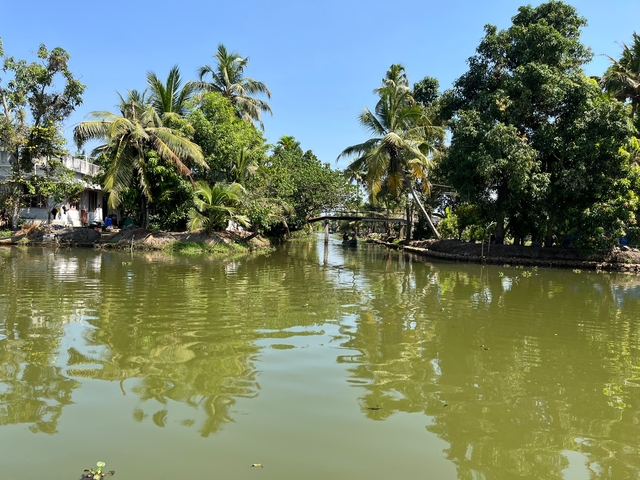       Peaceful canal surrounded by lush greenery and trees.
  