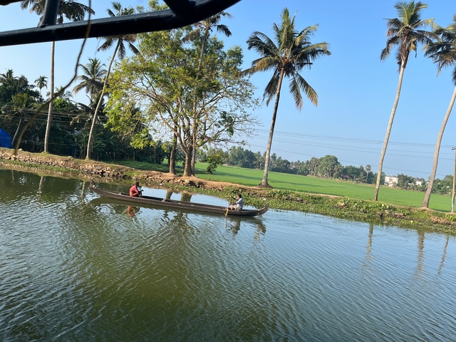       Two people rowing a traditional boat on a calm river surrounded by palm trees.
  