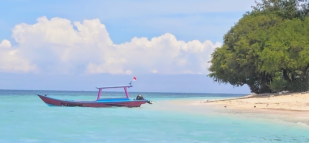 Small boat anchored on a tropical beach.