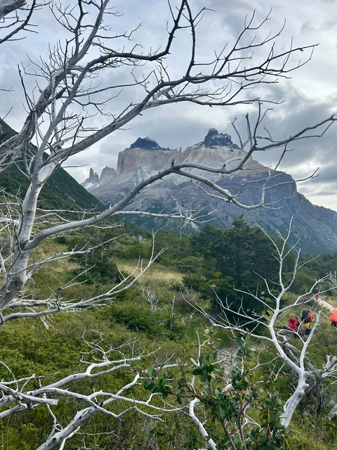       A rugged mountain landscape with trees and branches in the foreground.
  