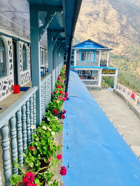       A balcony with flowers overlooking a scenic view.
  