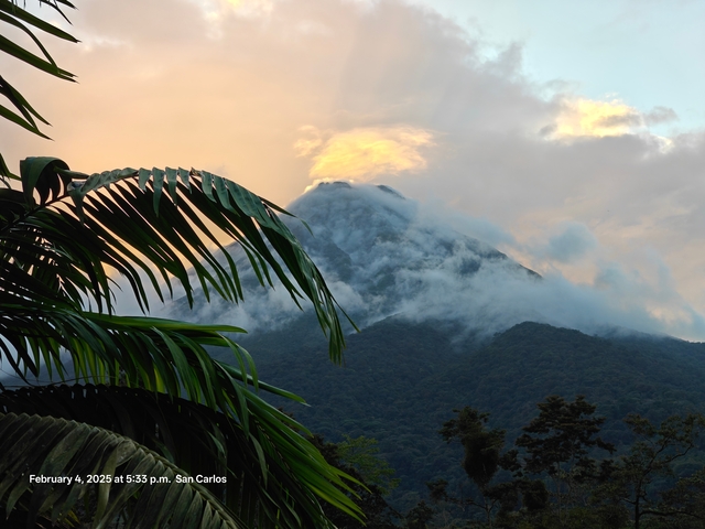 A volcano with lush greenery and mist.