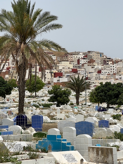      View of a hillside town with a foreground of a cemetery.
  