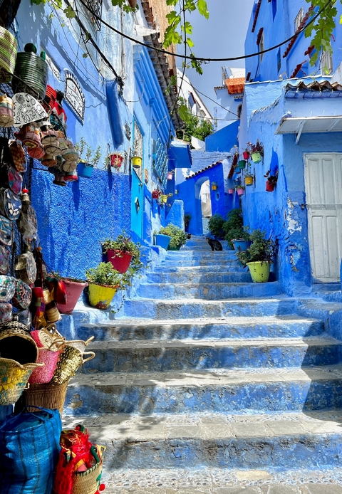       Blue painted alleyway with colorful potted plants.
  
