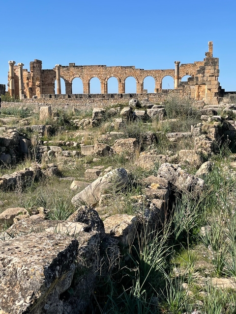 Ancient ruins with stones and overgrown grass.