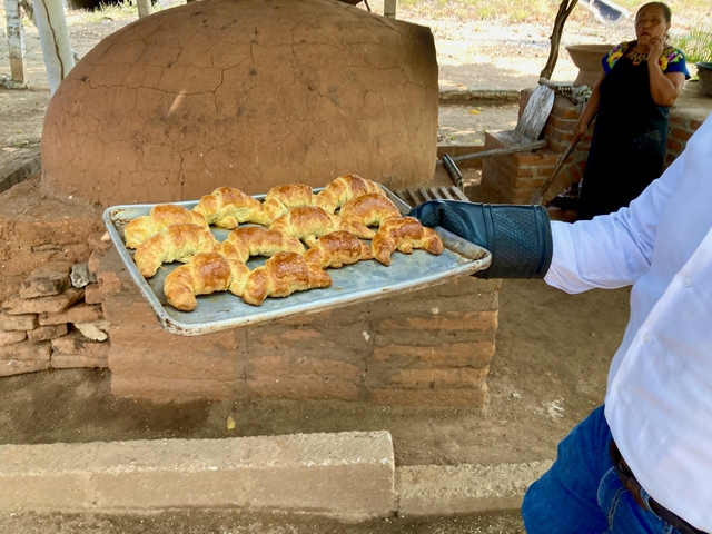 Person holding a tray of freshly baked croissants.