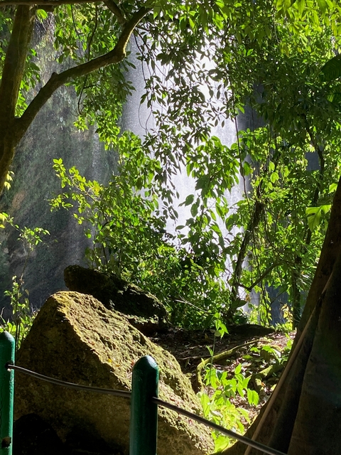       Waterfall partially obscured by dense foliage.
  