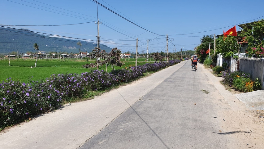       A person cycling down a rural road flanked by green fields and a Vietnamese flag.
  